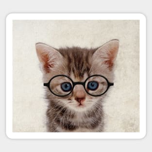 Kitten with Glasses - Print / Home Decor / Wall Art / Poster / Gift / Birthday / Cat Lover Gift / Animal print Canvas Print Sticker